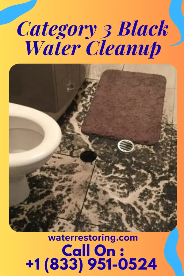 Category 3 Black Water Cleanup in Cudahy, WI